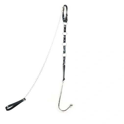 Anal Hooks Hook with Anal Kinky Collar Leash 5853 EverydayUse and 0109